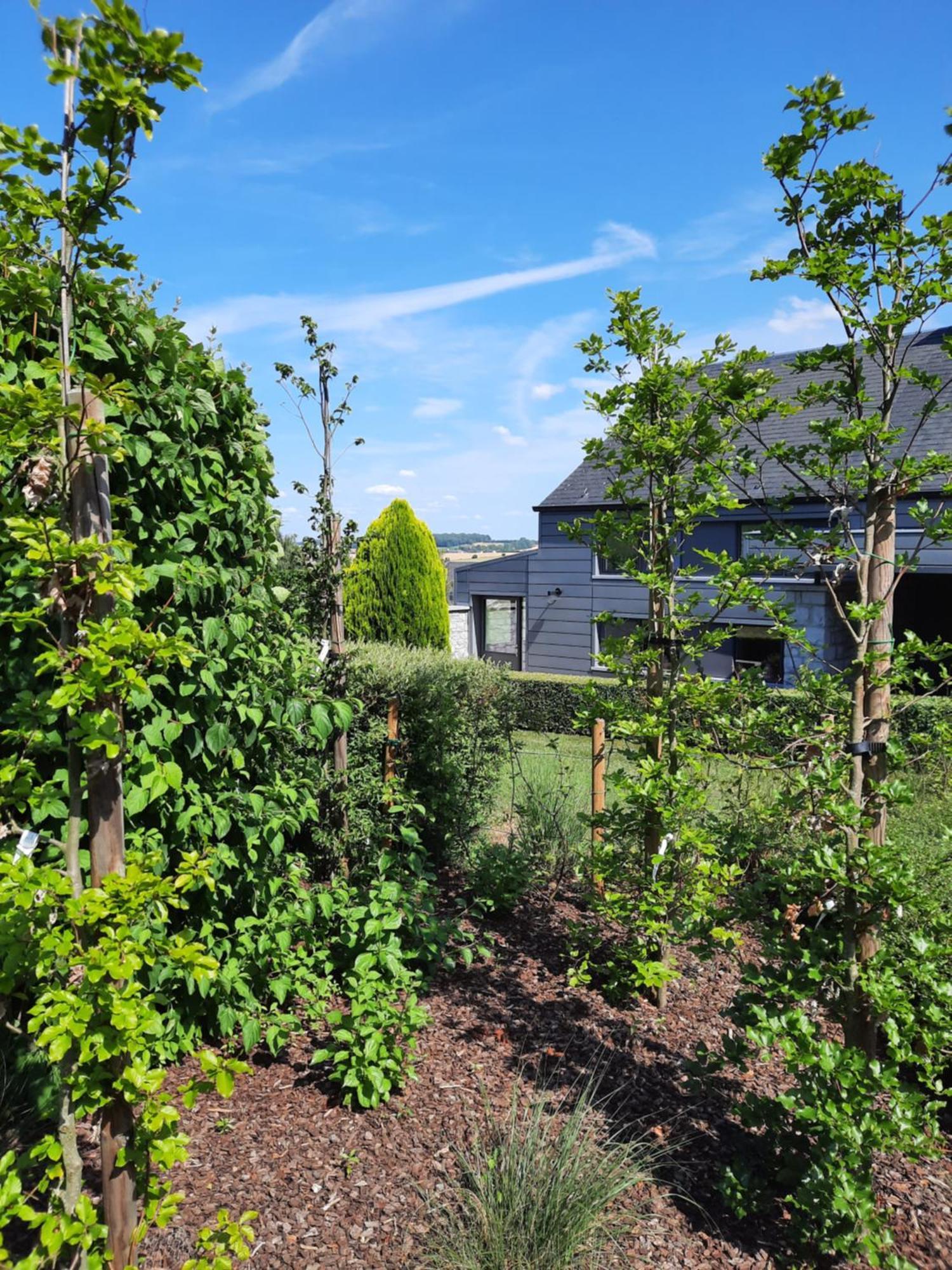 La Petite Maison Du Weris Villa Miecret Eksteriør billede
